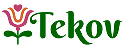 Región Tekov